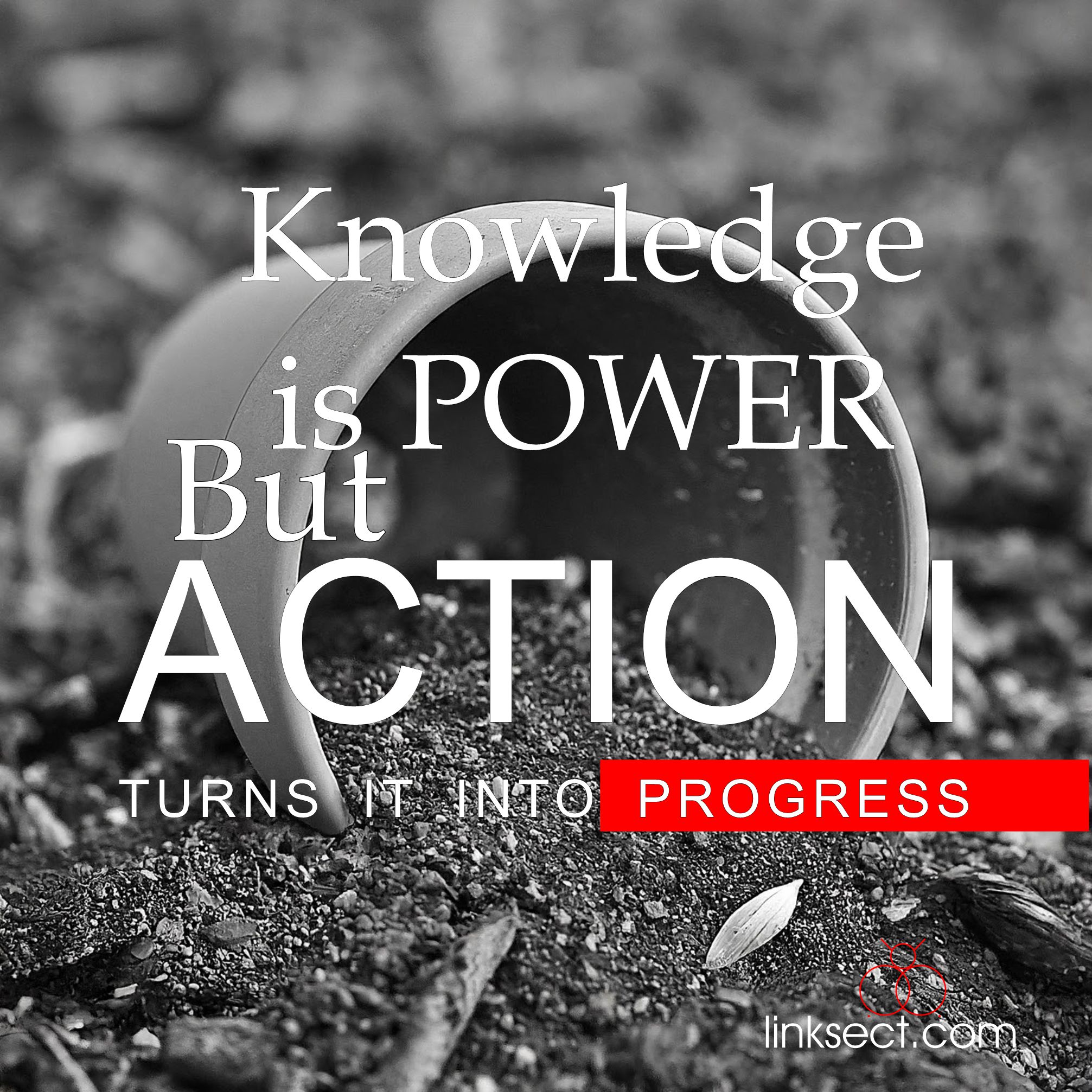 Knowledge is power but action makes it progress - Linksect.com